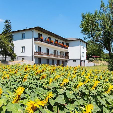 Gasthof-Pension Wein Breitenbrunn  Buitenkant foto