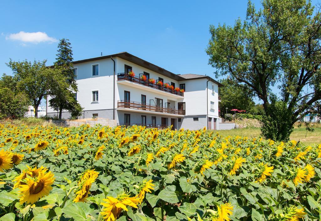 Gasthof-Pension Wein Breitenbrunn  Buitenkant foto